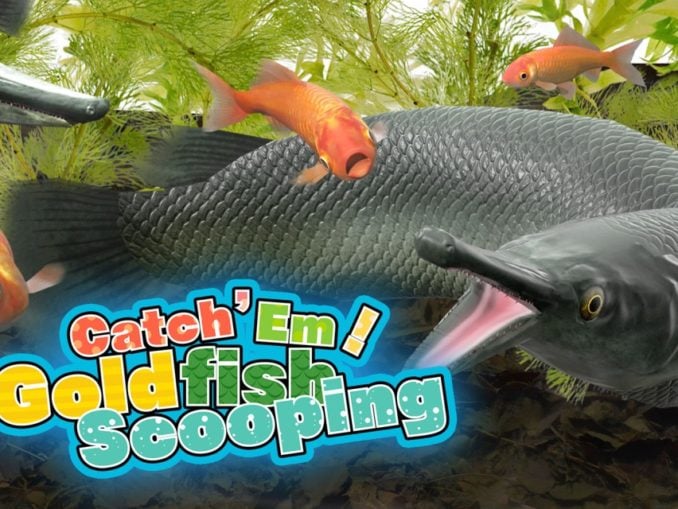 Release - Catch ‘Em! Goldfish Scooping 